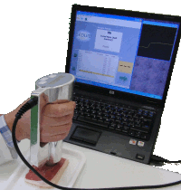 Measurement of dry cured ham with the RFQ-Scan TDR technology